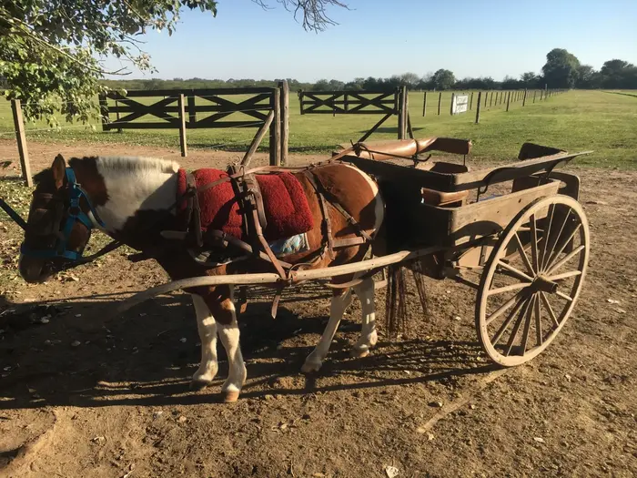 La entrada al campo, con las tranqueras y la cancha de polo detrás